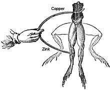 Luigi Galvani青蛙腿实验